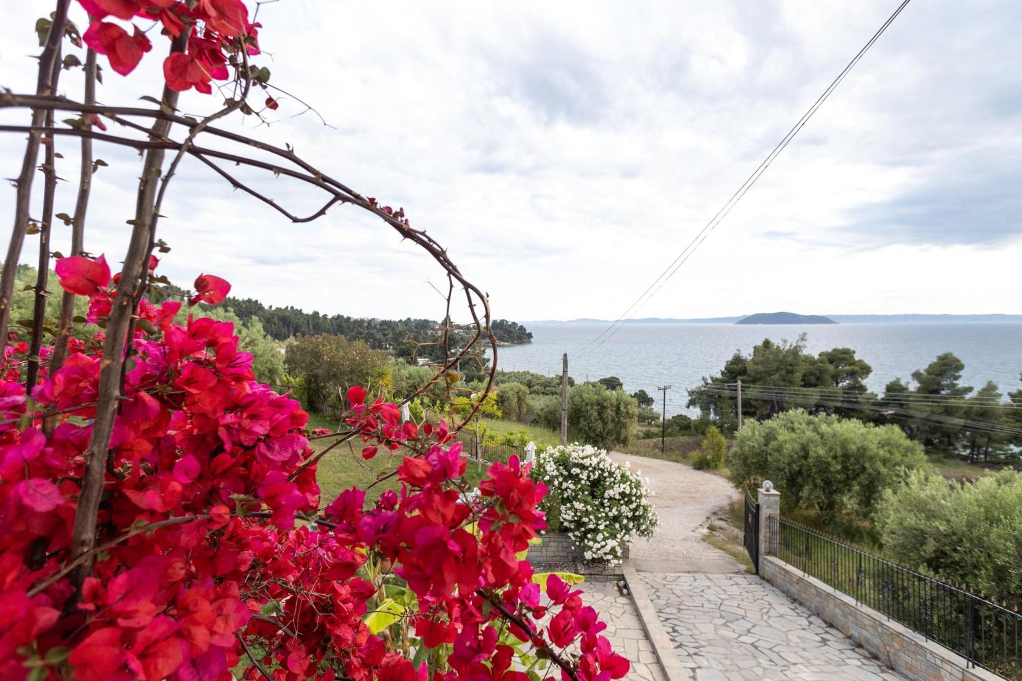 House Panorama Sea View Apartment Neos Marmaras Ngoại thất bức ảnh